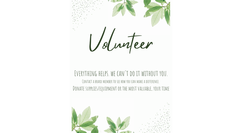 Volunteer